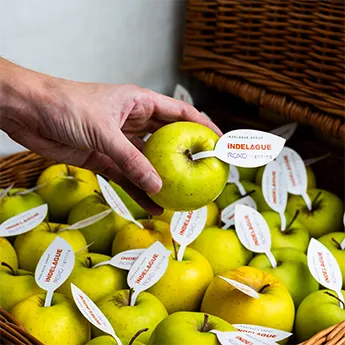 Celebração do Dia Mundial da Alimentação