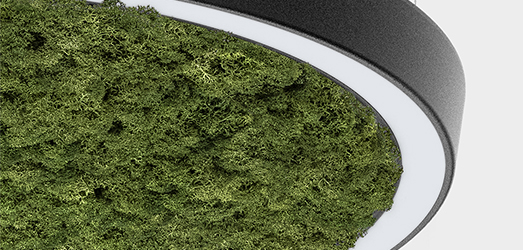 MOSS PANEL